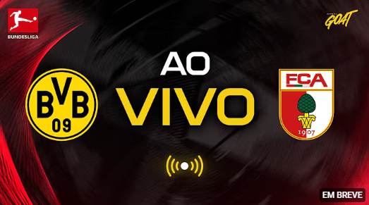 Bruno Pet tweet media