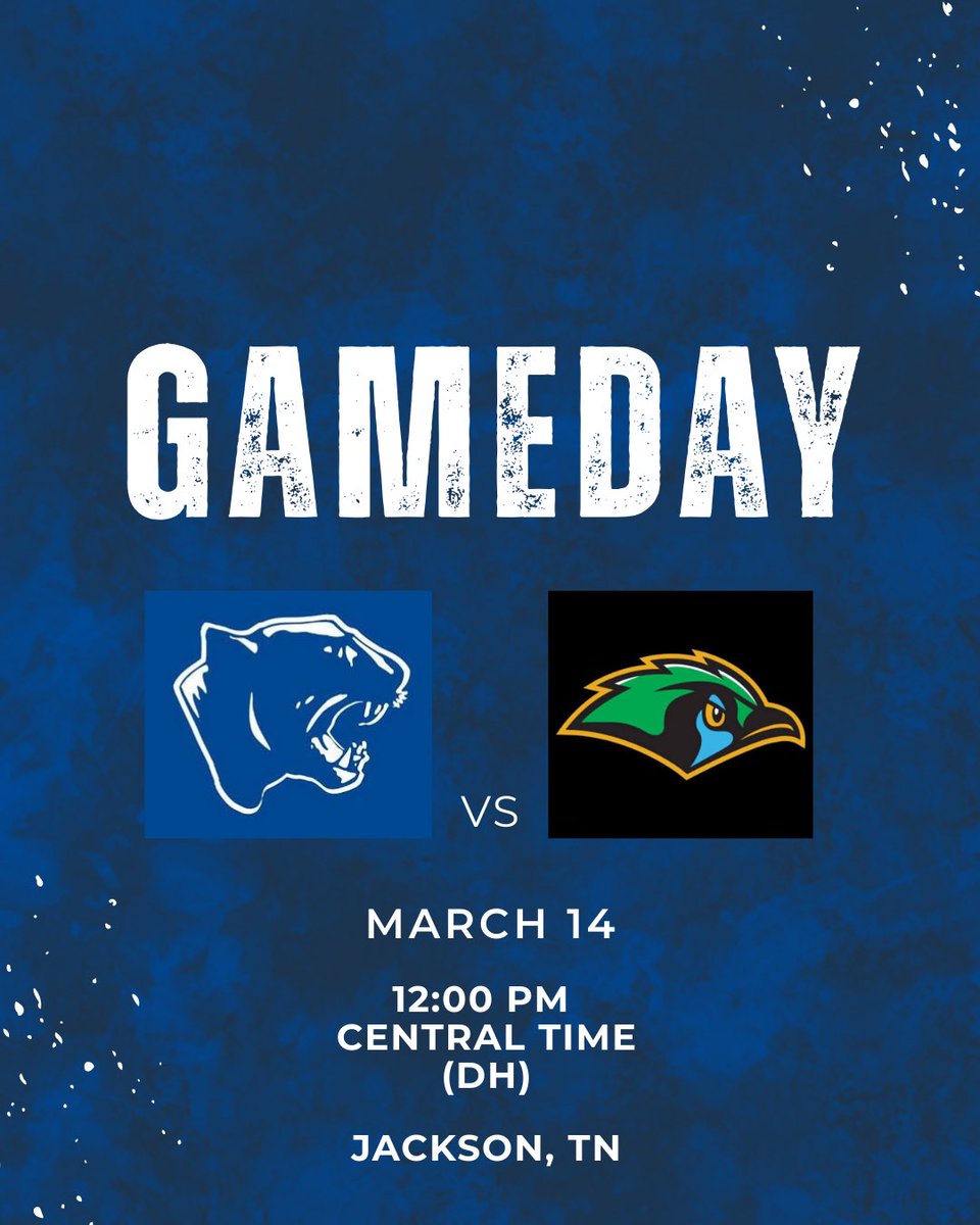 Cleveland State ⚾️ tweet media