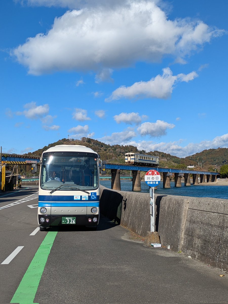 シエル tweet media