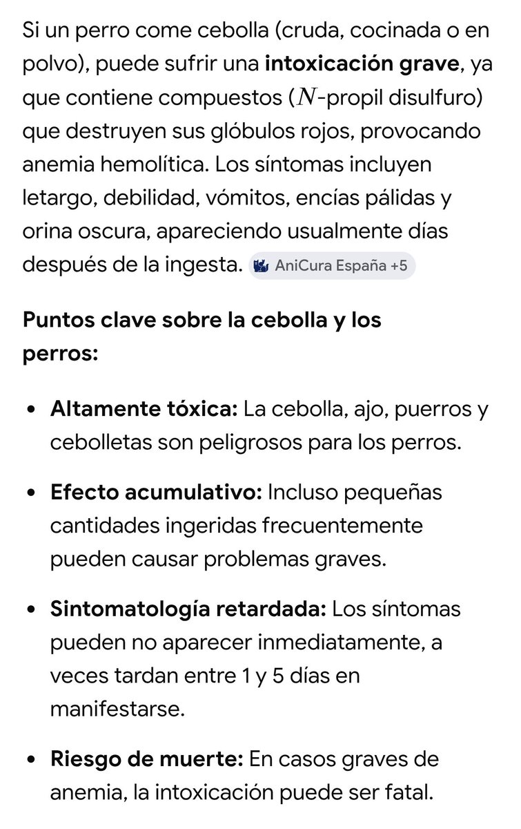Mario Juarez tweet media