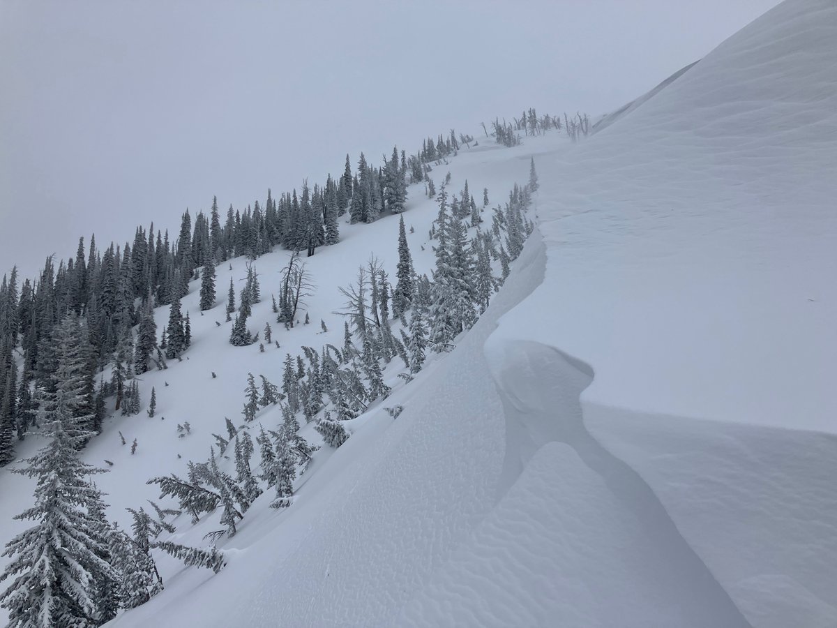 The hazard is CONSIDERABLE in the Sawtooth and Western Smokys and MODERATE elsewhere. New snow and strong winds are building sensitive slabs in exposed terrain. In shaded terrain, large 1-3 foot thick avalanches failing on weak sugary facets are not out of the question.