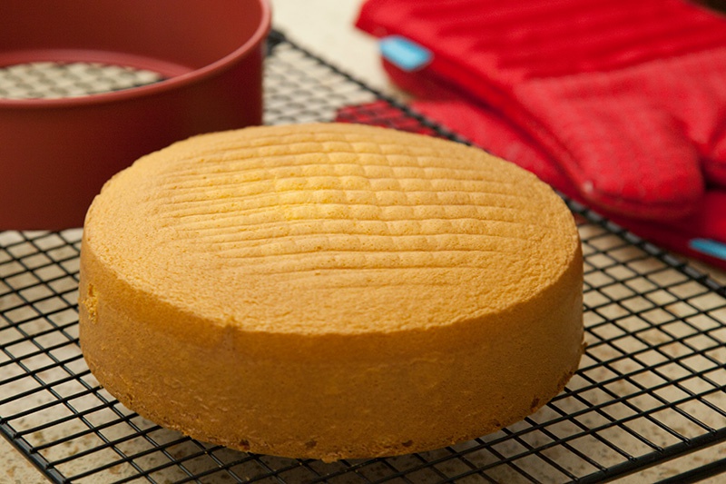 Warren Pies Consultant tweet media