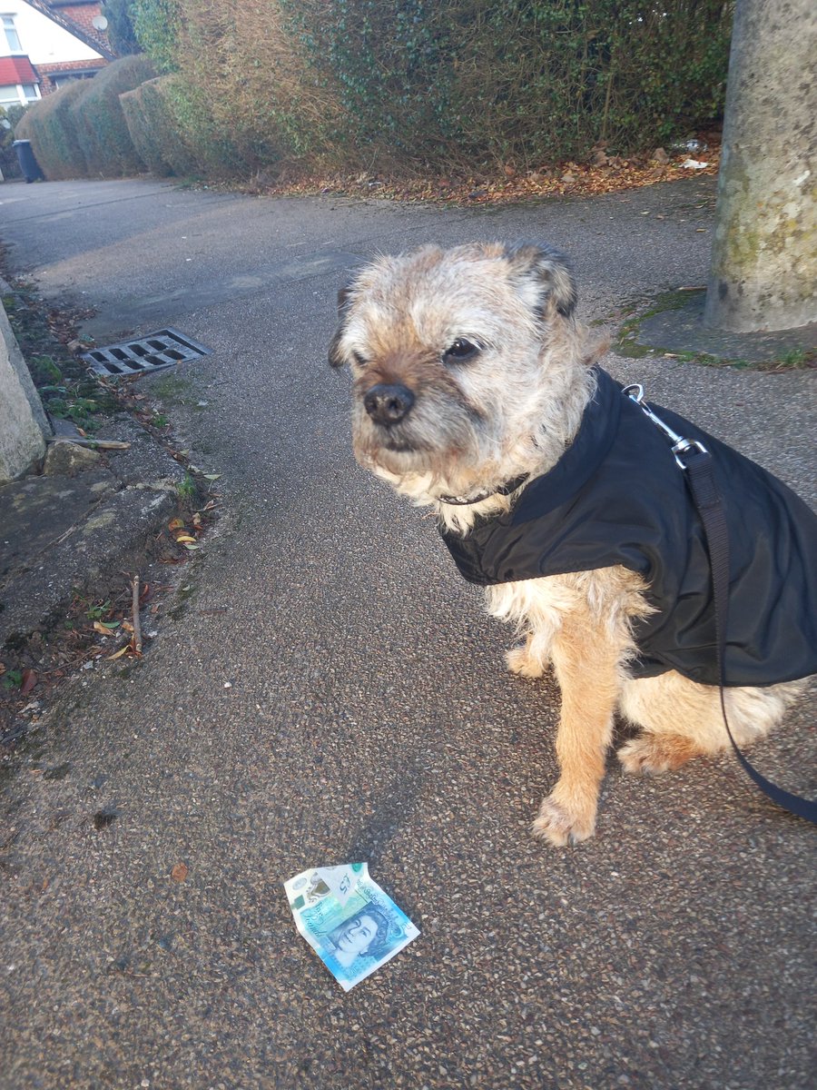 stephen rogers tweet media