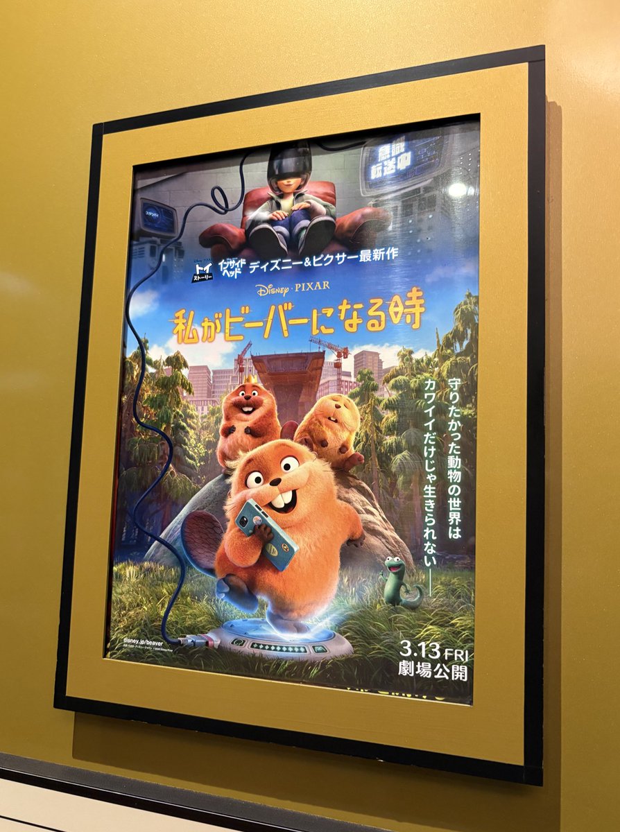 たお🍩がお🦁 tweet media