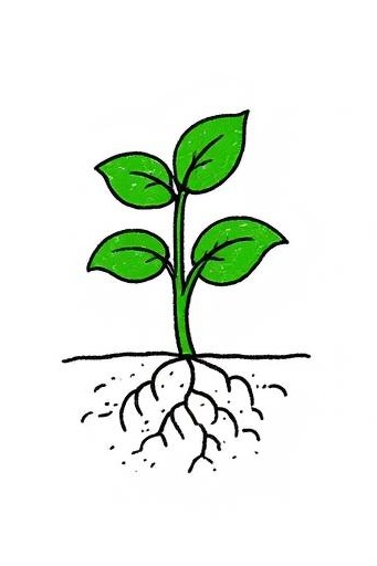 NichaIasGidds tweet media