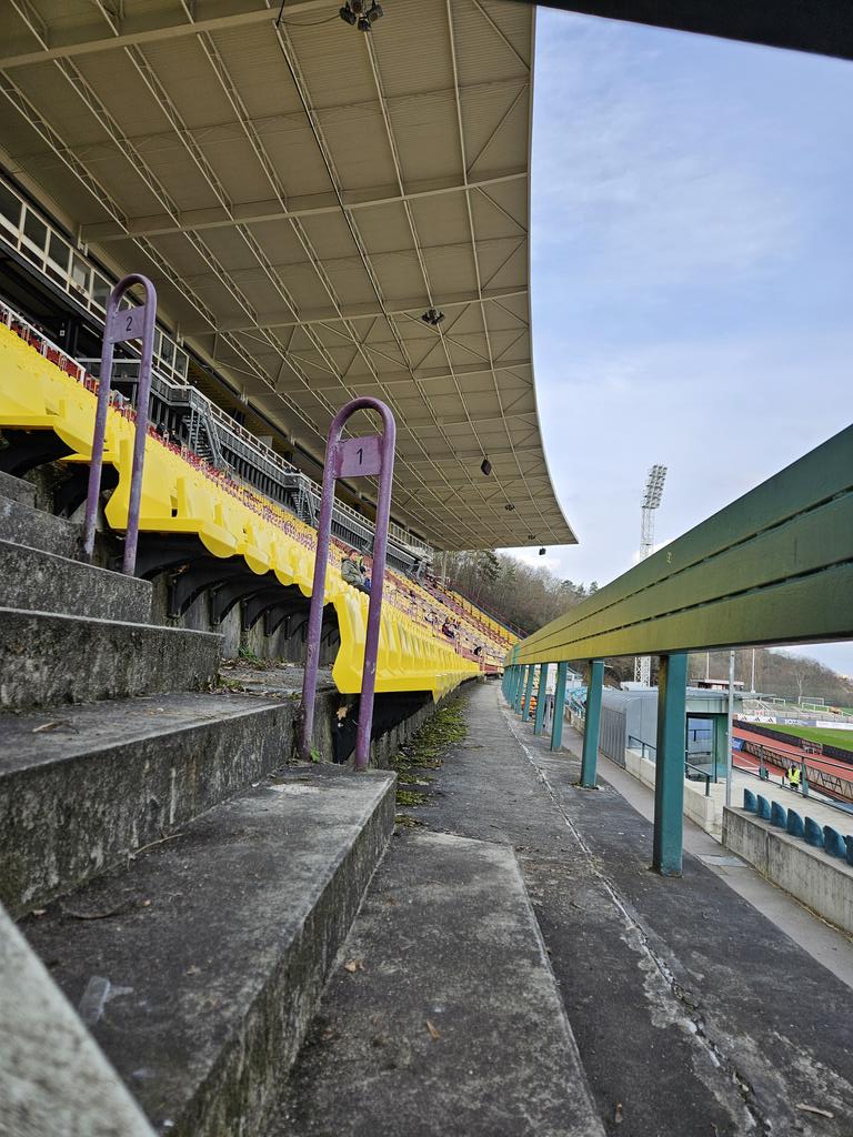 Ino Diepeveen tweet media