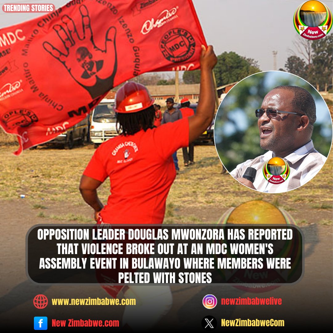 NewZimbabwe.com tweet media