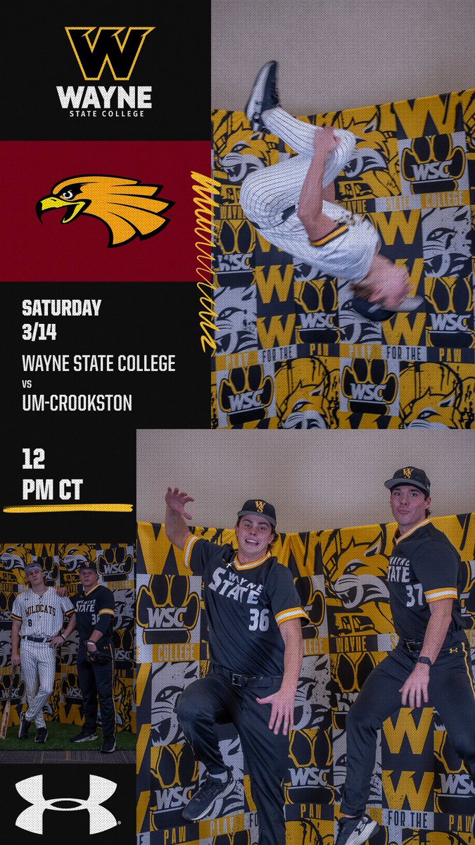 Wayne State Baseball tweet media