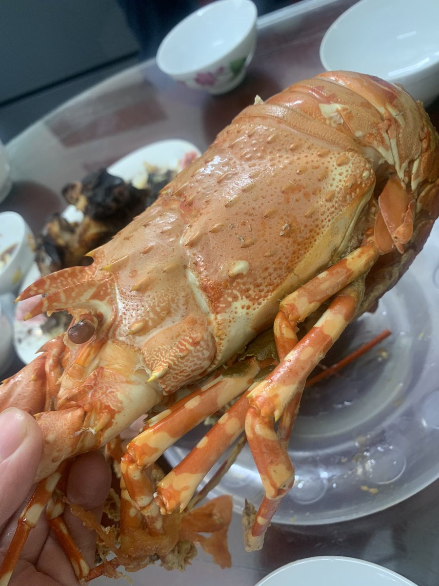 Hải Phòng Delicious Journey tweet media