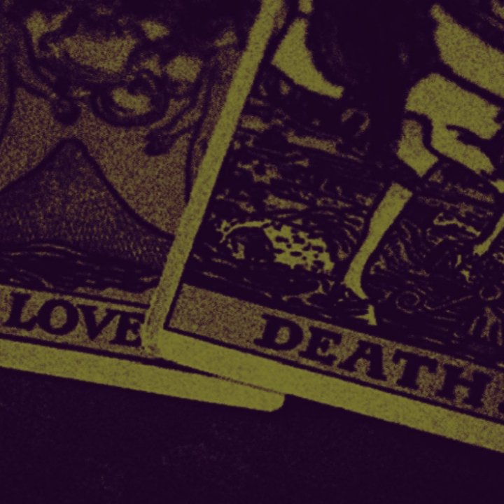 ͏ * ͏ 𝓑𝚁𝙴𝙴 ͏ † ͏ 𝗦𝗧. 𝗝𝗢𝗛𝗡 tweet media