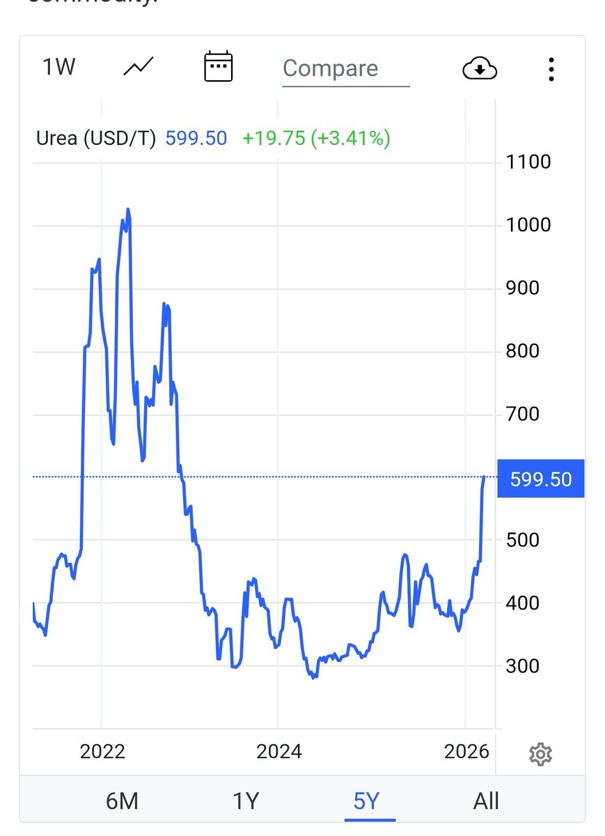 The Bull Whisperer tweet media