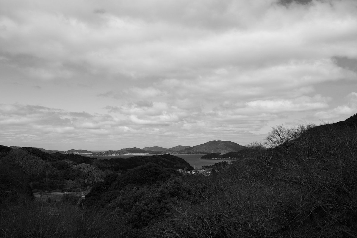 logmaid's tweet photo. #pentaxk3mkiiimono https://t.co/uZ4Izpmui6