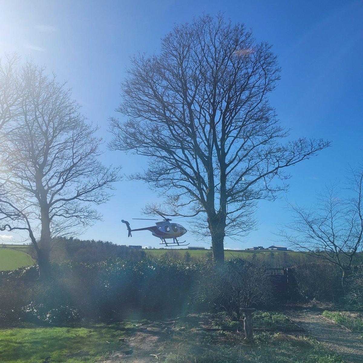 Durham_Hens's tweet photo. A customer flying in this morning to collect his order!
#DurhamHens #backyardchickens #hensaspets #SBS #ialso https://t.co/RyoODpYhQh
