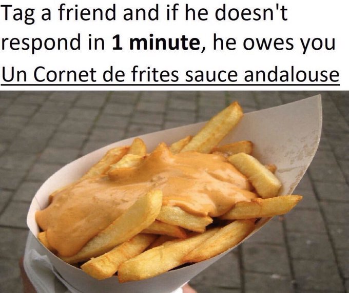 ZORAC 🇧🇪 tweet media