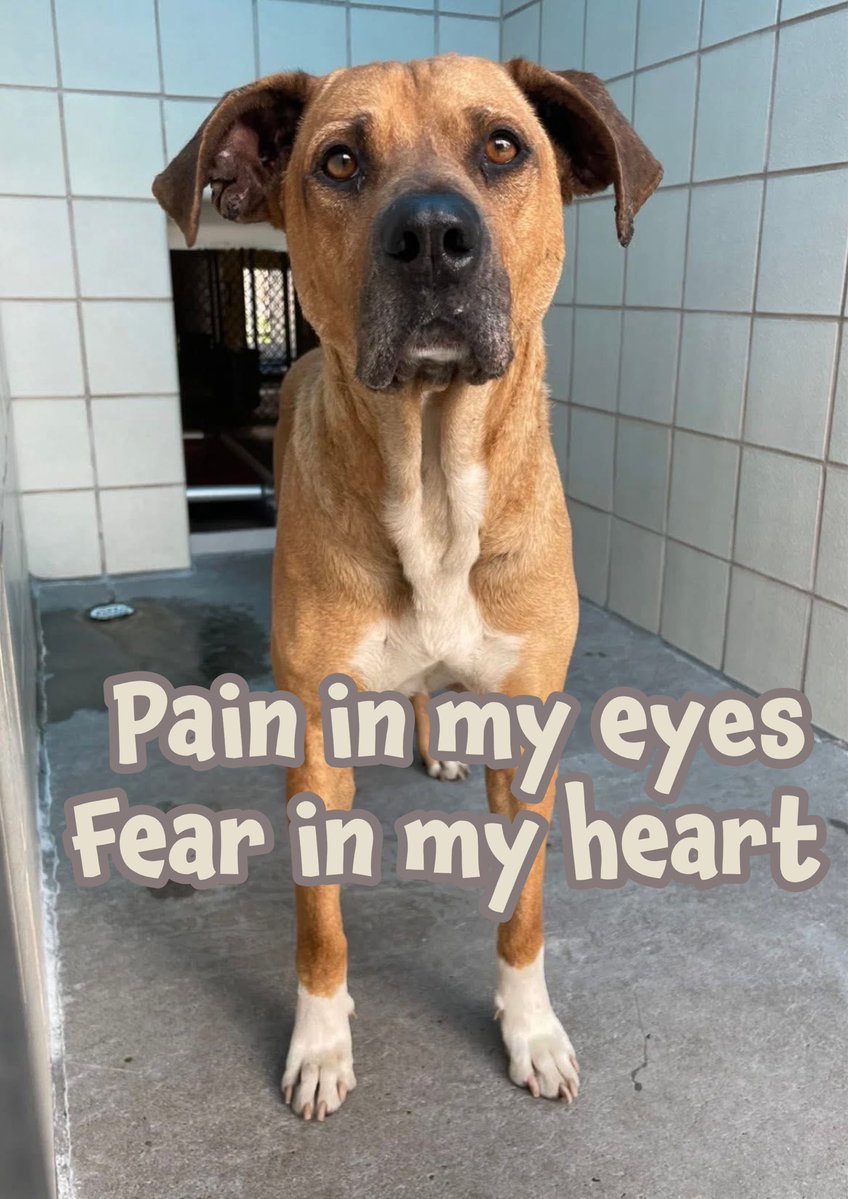 RoCo🇬🇧God Save The King🇬🇧 tweet media