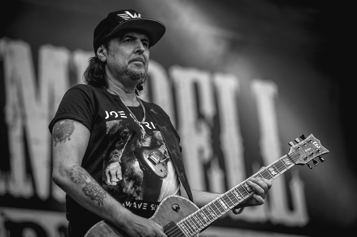 daniel pedersen tweet media