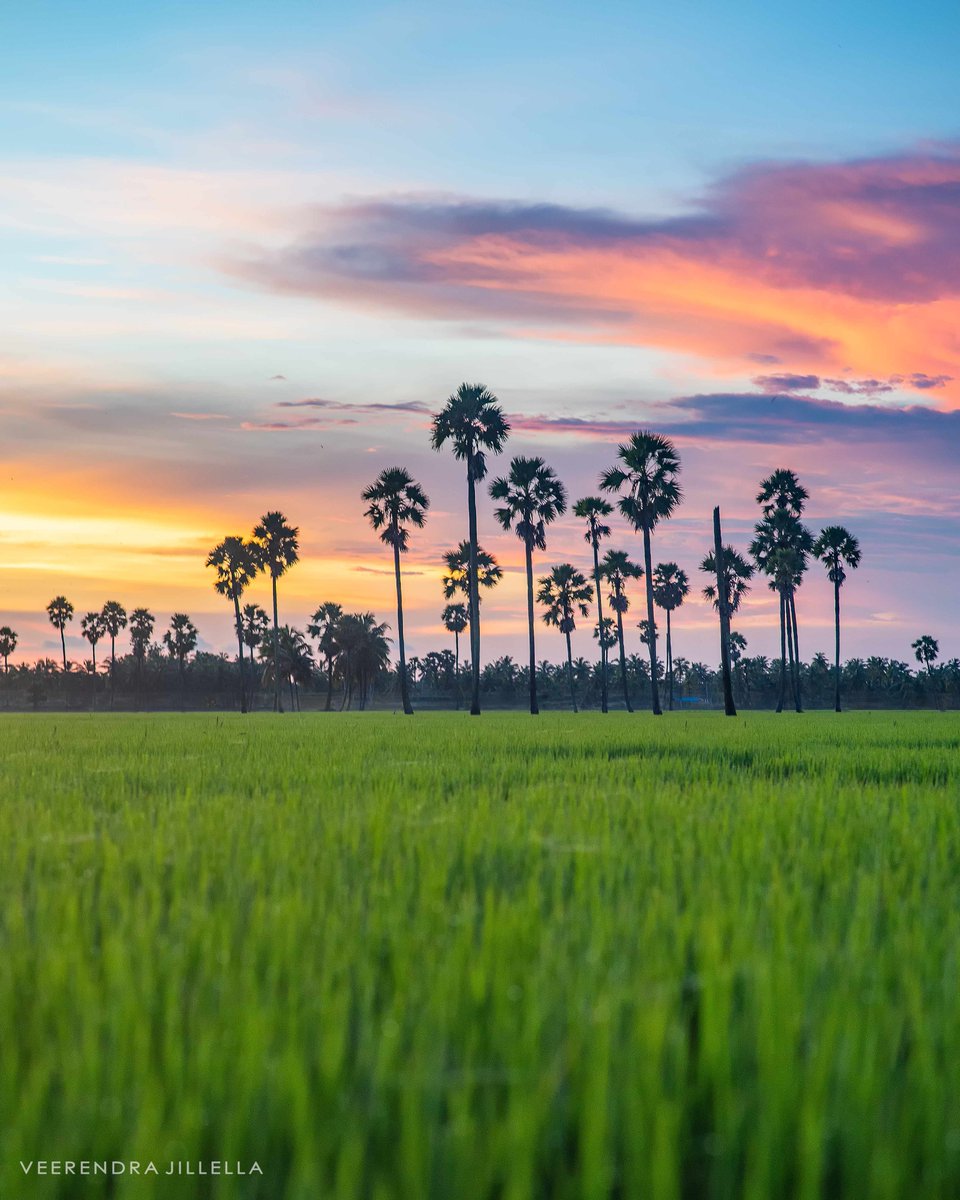 veerendra jillella 🦉 tweet media