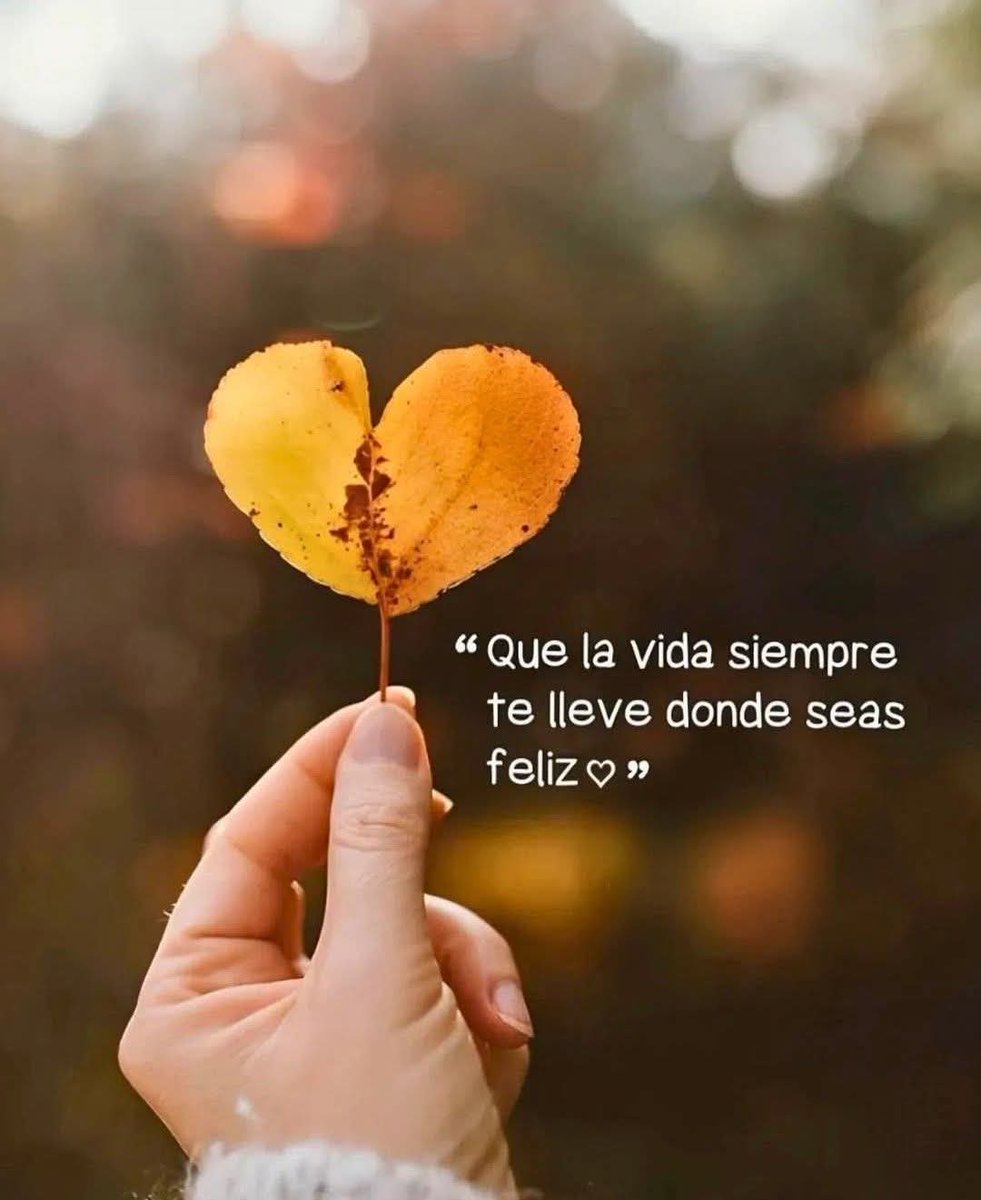 𝐩𝐲_𝑯𝒖𝒈𝒐 (@victorr74650566) on Twitter photo 