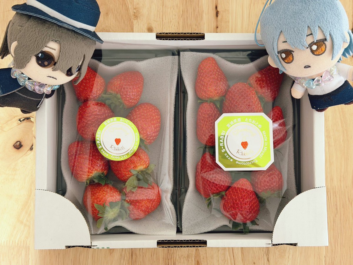 🪞賢者はいちごが好きだろう？

🍴おいCベリーととちおとめ、賢者さん好みの甘酸っぱいいちごを選んでみたよ

ありがとう！いっしょに食べよう👵🍓

#まほやく_ぬい
#まほぬいホワイトデー2026