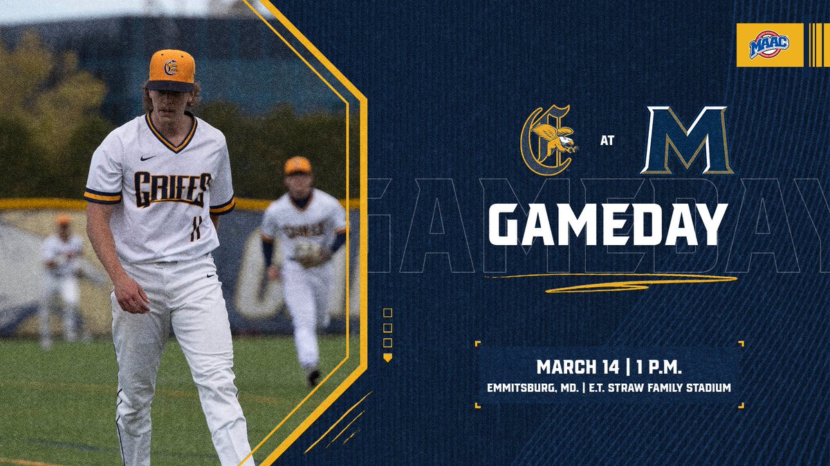 Canisius Baseball tweet media