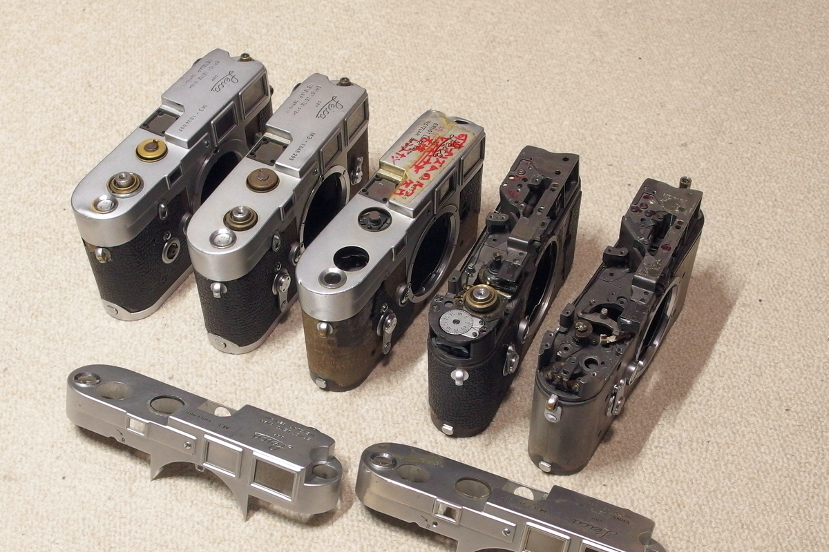 がたぱしゃ tweet media