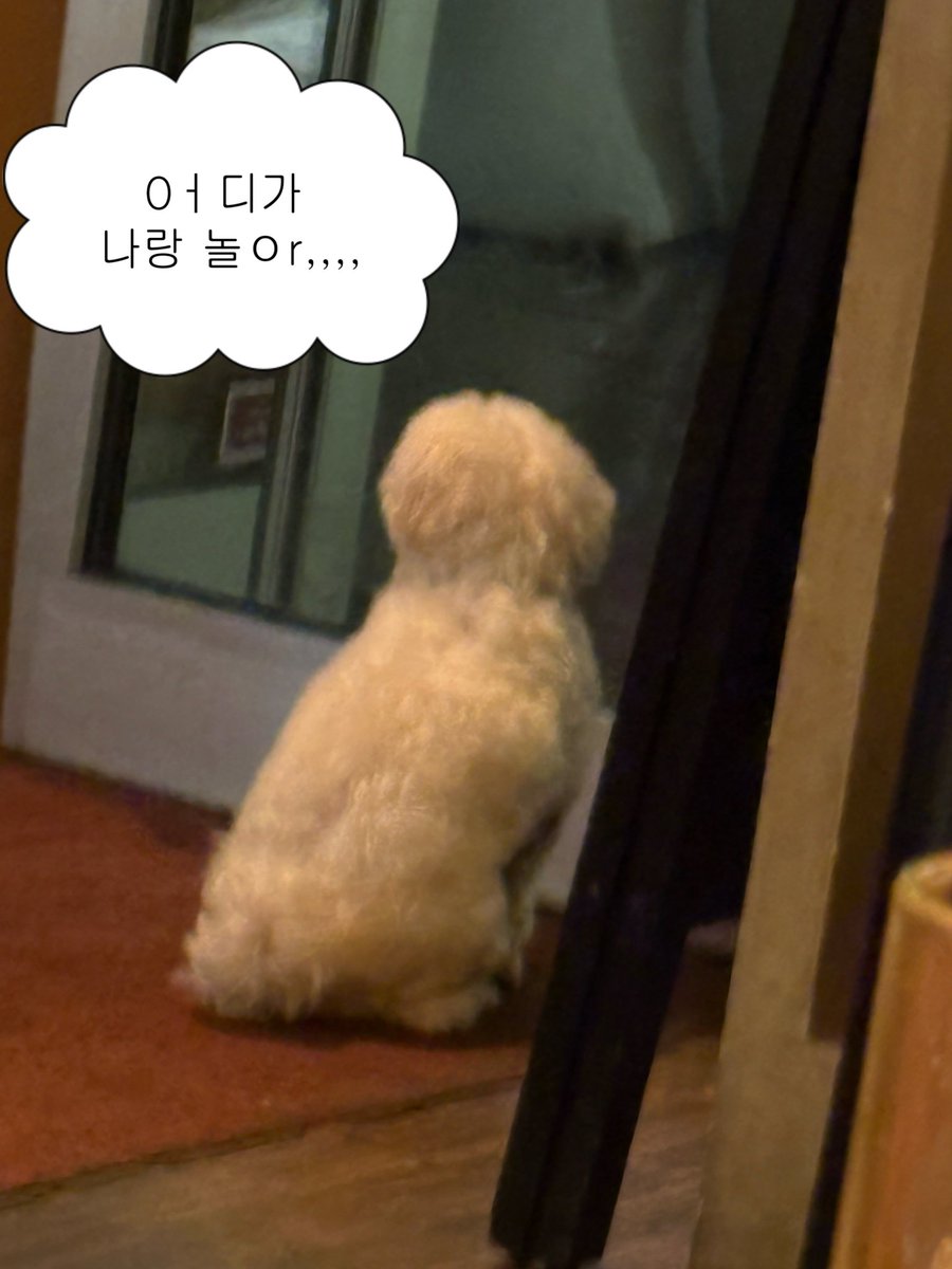 XLOV GLOBAL tweet media