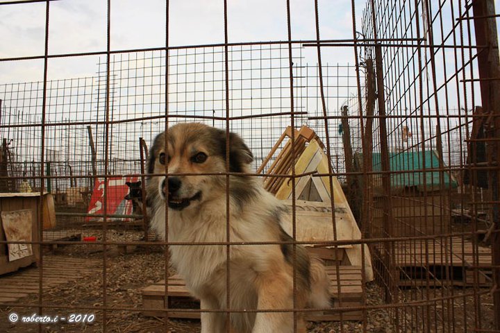 X4nDr3|_La tweet media