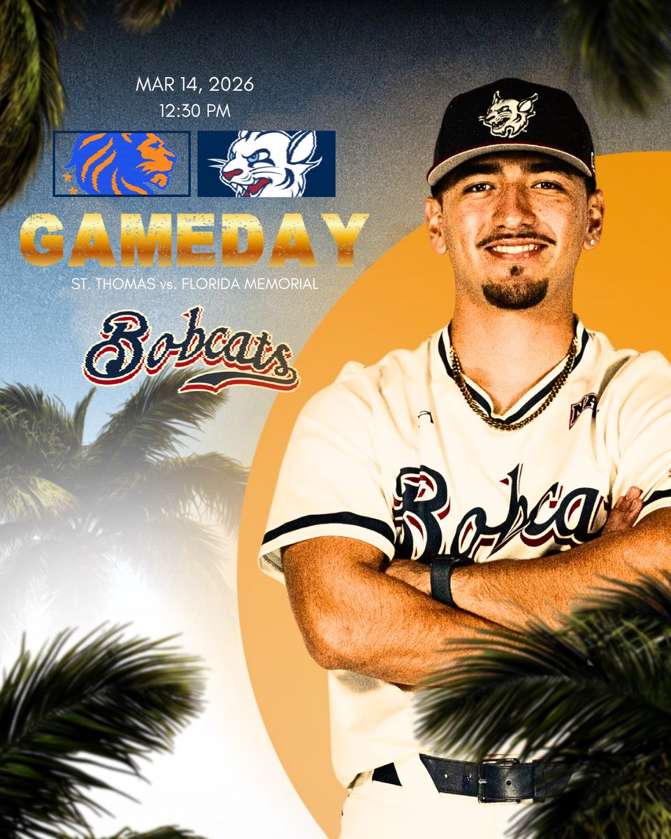 STU Baseball tweet media