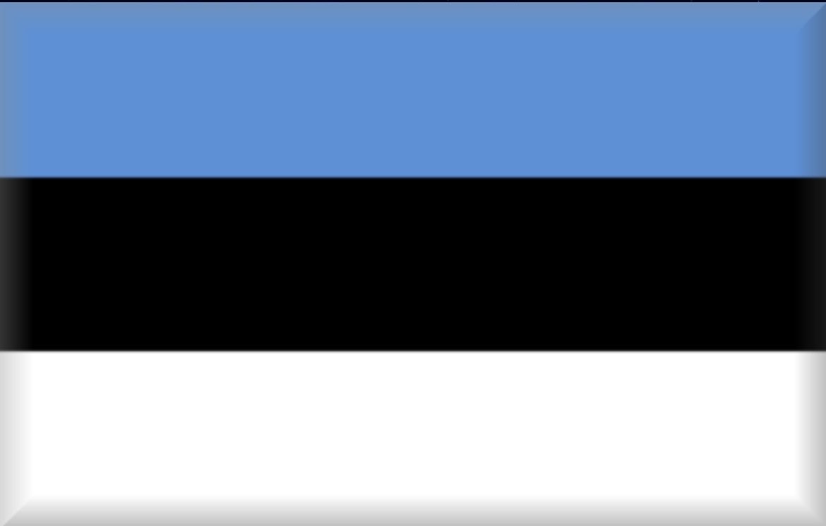 The Estonian flag is cool.

That’s all. Carry on.