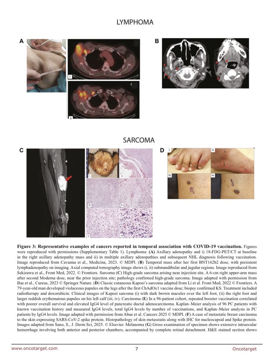 Wafik S. El-Deiry, MD, PhD, FACP tweet media