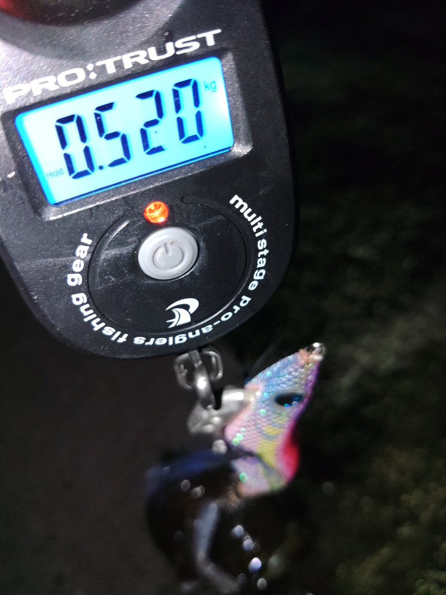 kapajr's tweet photo. 【本日の釣果】ﾘﾄﾙｼﾞｬｯｸの新作アジ型エギで500gGET‼️ https://t.co/UxRz3Mvzdm