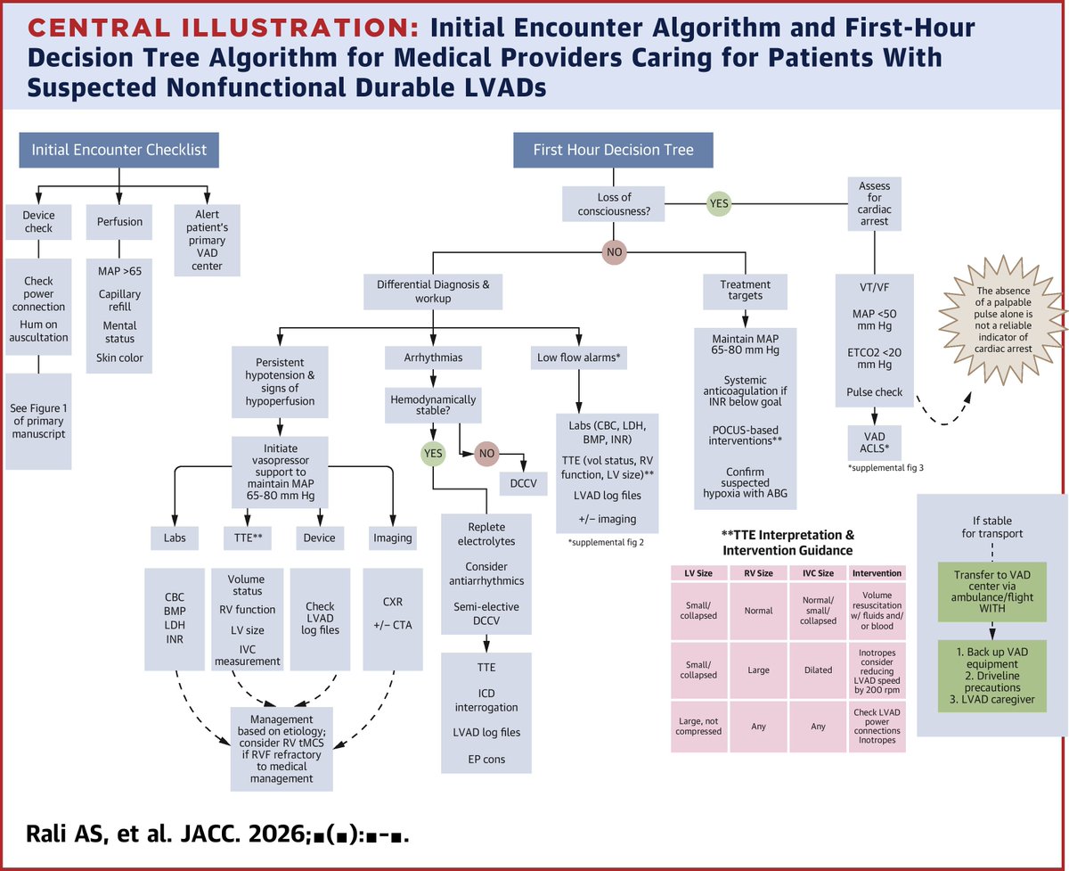 American College of Cardiology tweet media