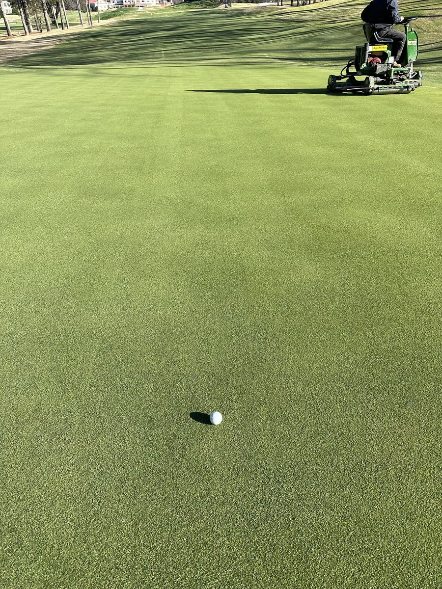 David “Wally” Gresham tweet media