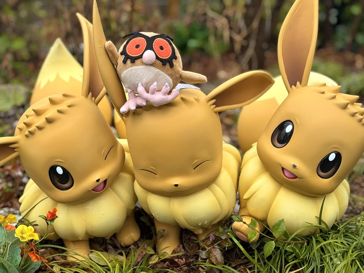 divi ☁️🪽 tweet media