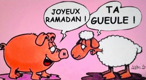 Gérald Seapaki 🇧🇪🇨🇭🇫🇷🎗 tweet media