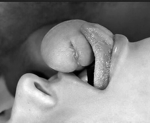 sub-tracked-mind tweet media