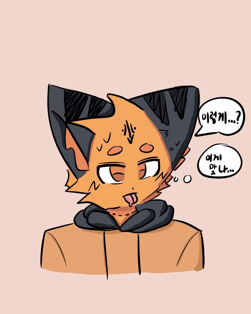 ONBIDA tweet media