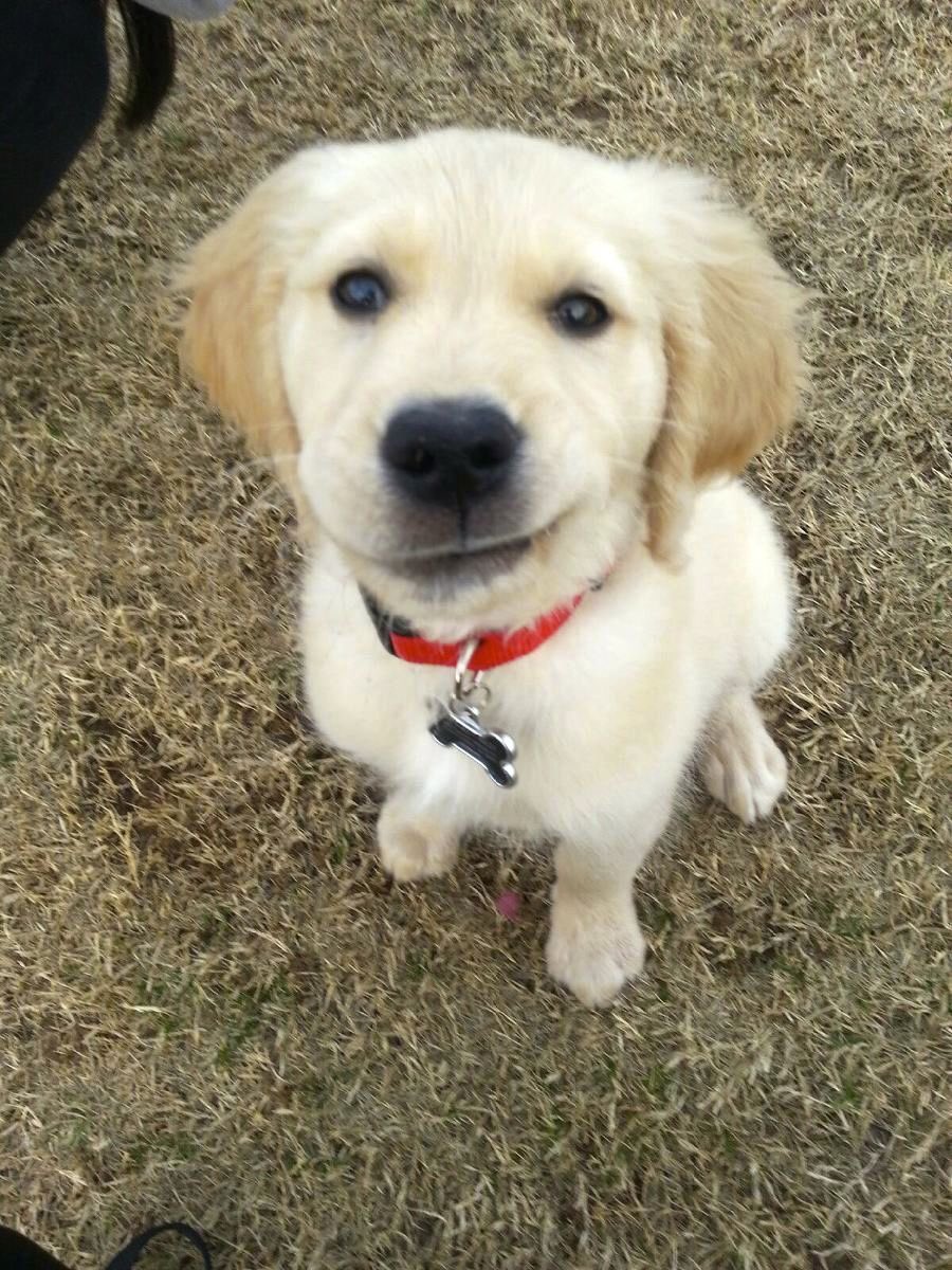 I fluff with you heavy,,,,