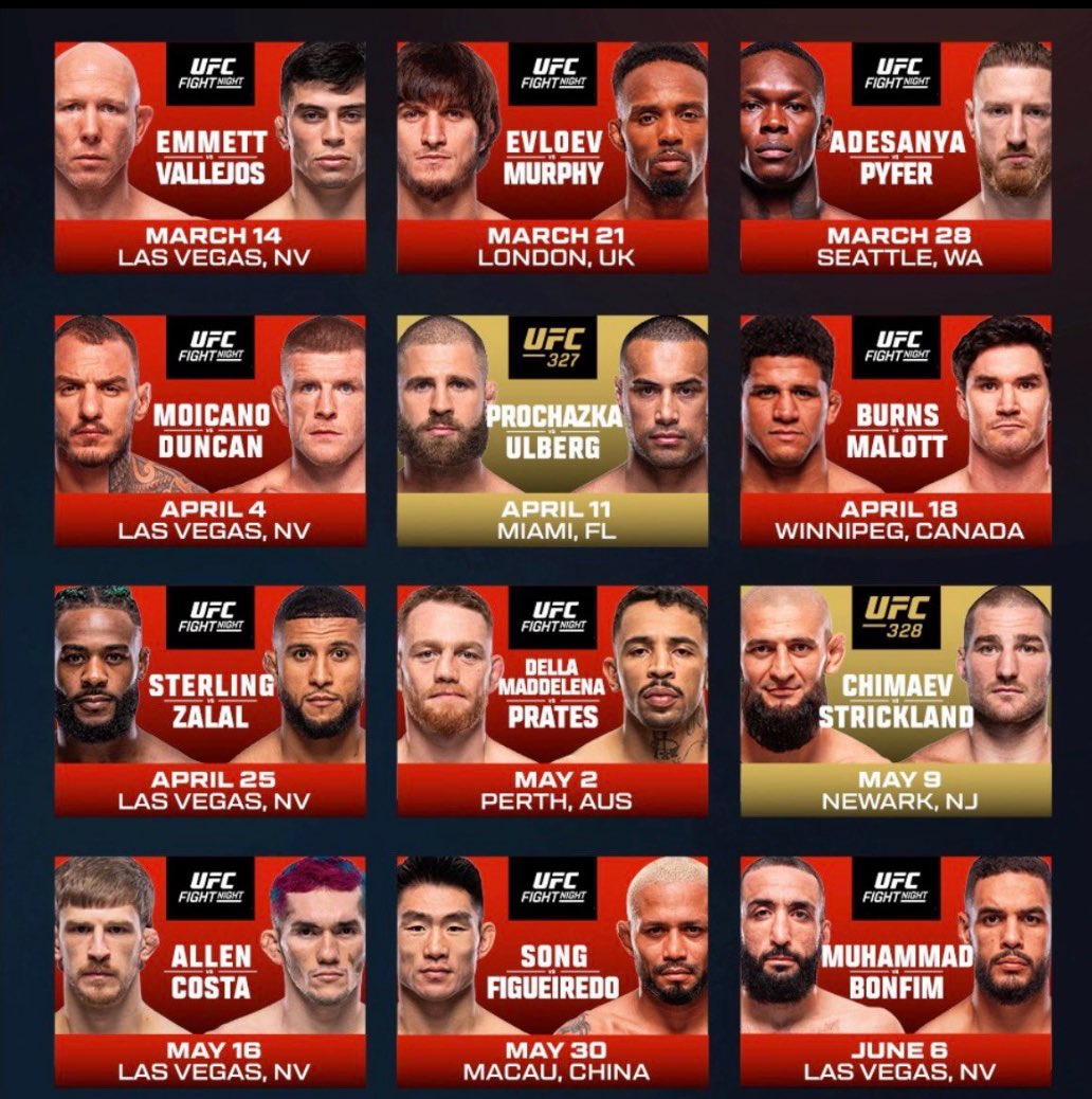 Blind Bear 🐻🕶️🎒 tweet media