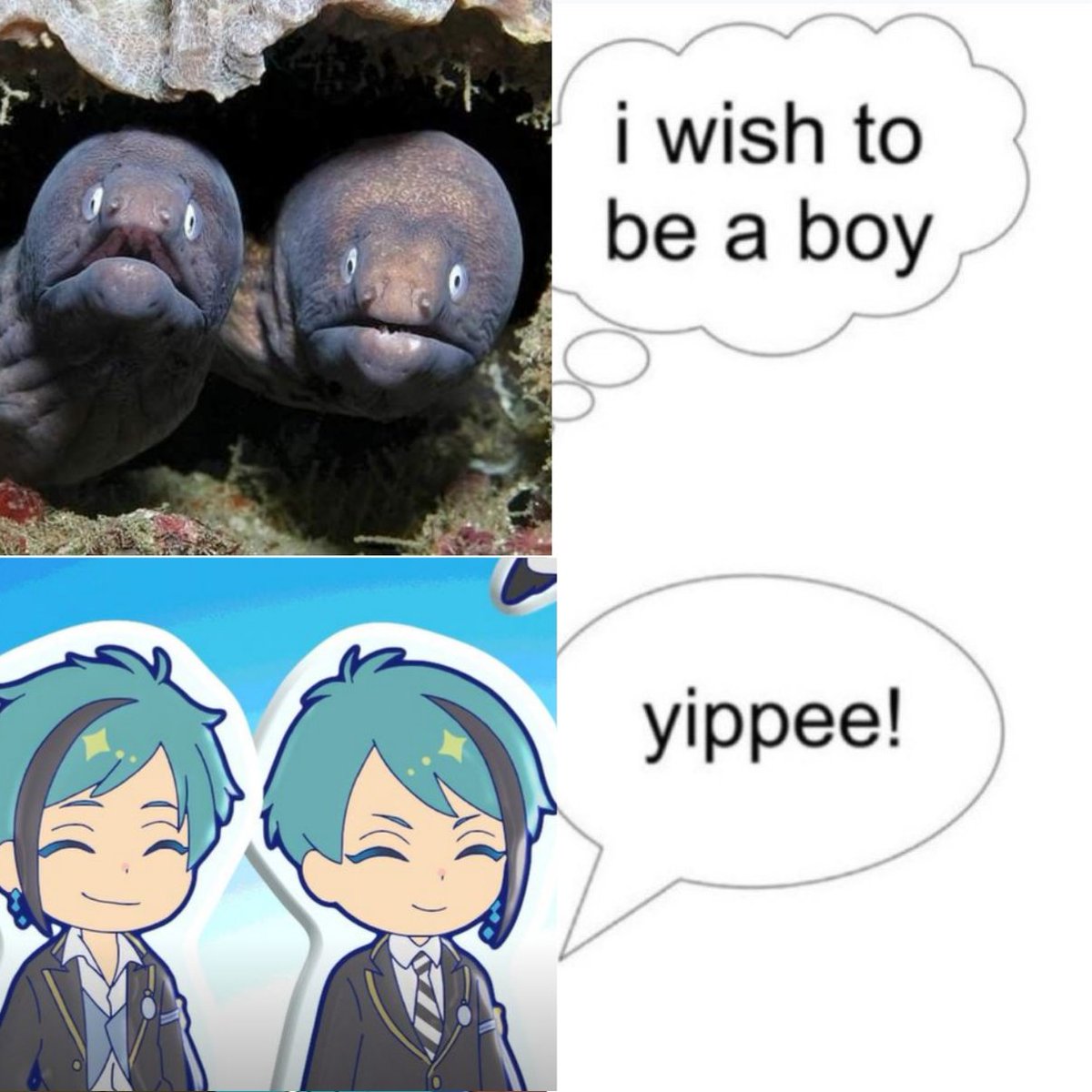 samu🍓🪸 Rei💍𖹭 tweet media