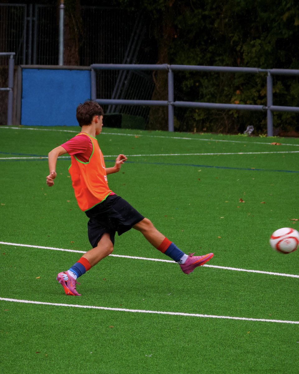 C.D. Berriz tweet media