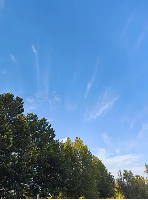 Scarlett tweet media