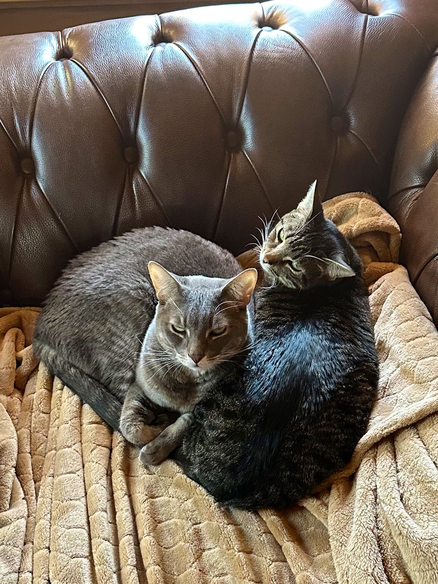 Suzi Day tweet media