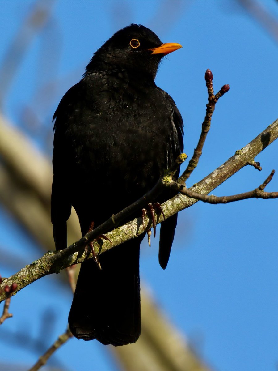 Tom Cadwallender tweet media