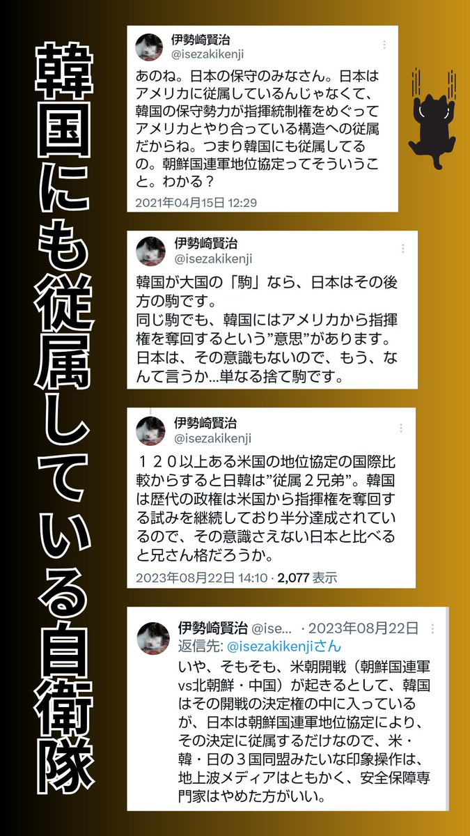 蝶々子 tweet media