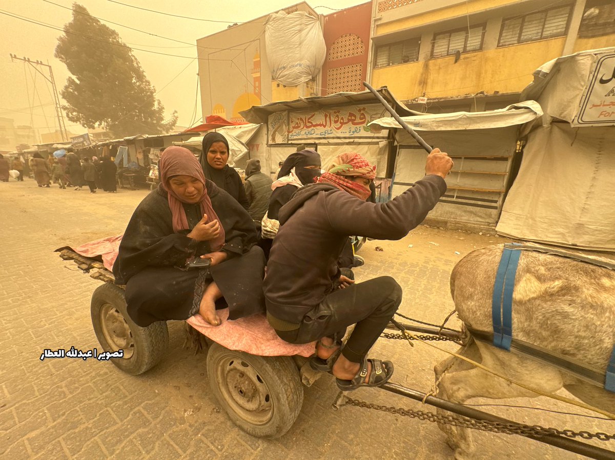 عبدالله العطار abdallah alattar tweet media