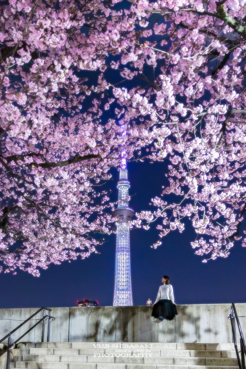 Yuji_48's tweet photo. ホワイトデーライティングのスカイツリーと大寒桜を眺めて https://t.co/vWeChdoPNQ