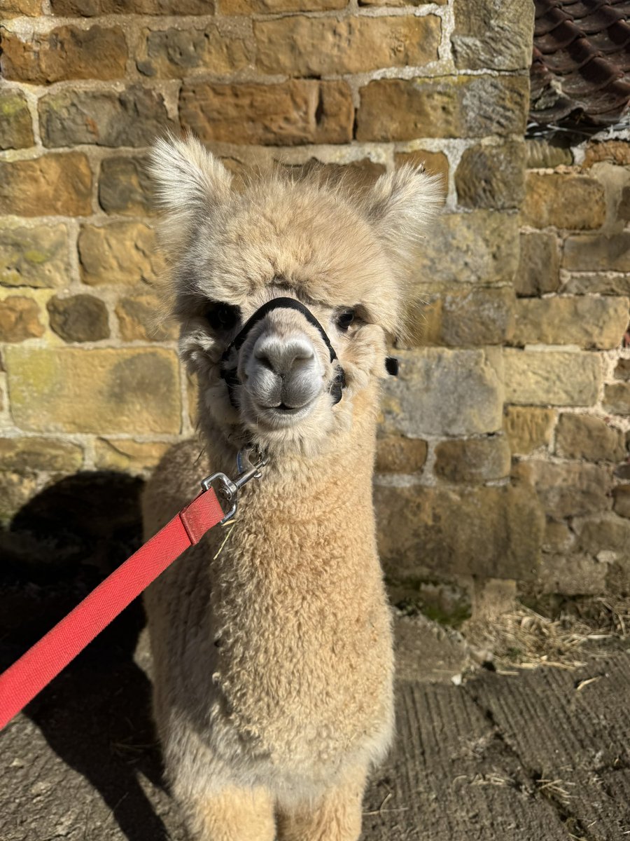 The sun is shining, Happy Mother’s Day weekend ❤️