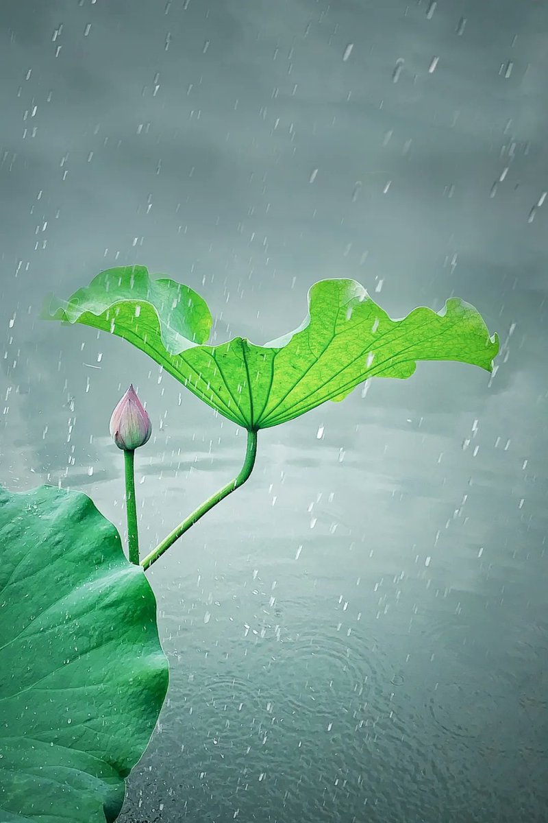 Betsat Güncel Giriş tweet media