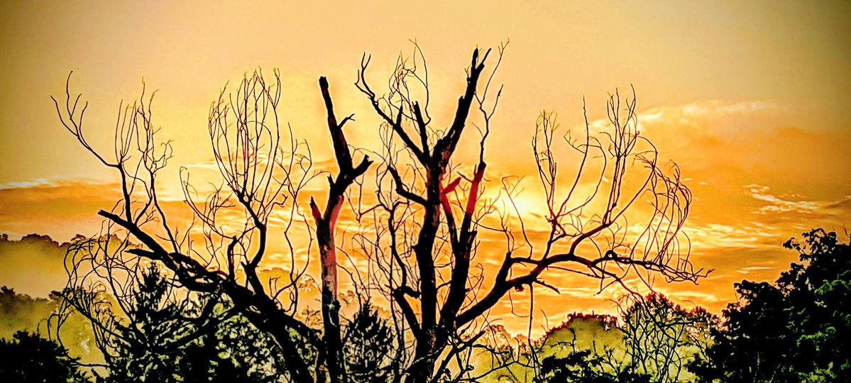 Tim Green tweet media